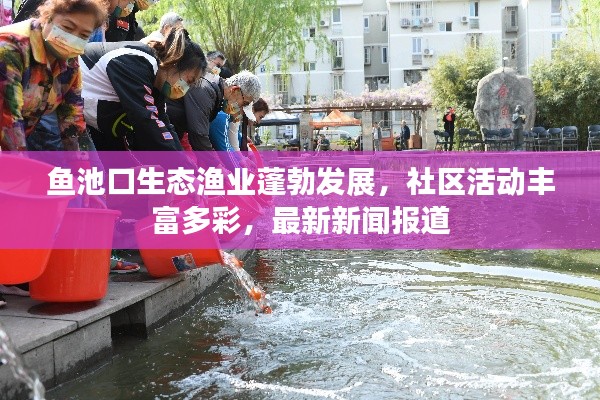 鱼池口生态渔业蓬勃发展，社区活动丰富多彩，最新新闻报道