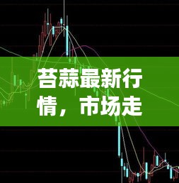 苔蒜最新行情，市场走势揭秘，影响因素深度剖析！