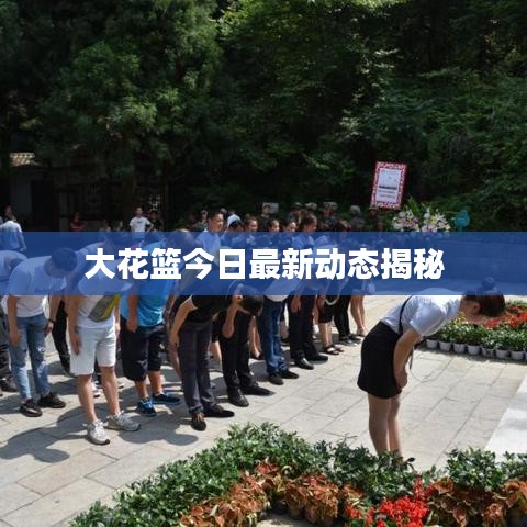 大花篮今日最新动态揭秘