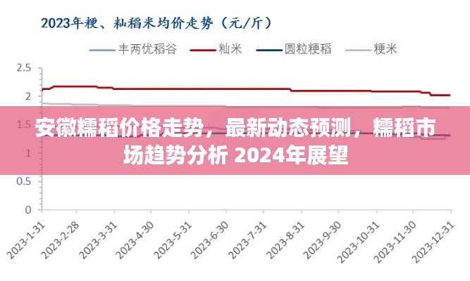 安徽糯稻价格走势，最新动态预测，糯稻市场趋势分析 2024年展望