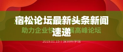 宿松论坛最新头条新闻速递