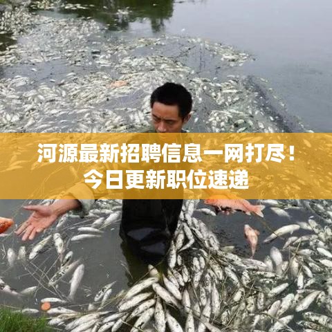 河源最新招聘信息一网打尽！今日更新职位速递