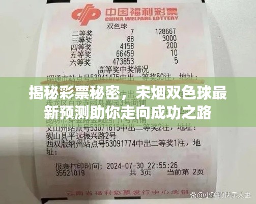 揭秘彩票秘密，宋烟双色球最新预测助你走向成功之路