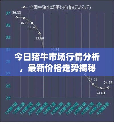 今日猪牛市场行情分析，最新价格走势揭秘