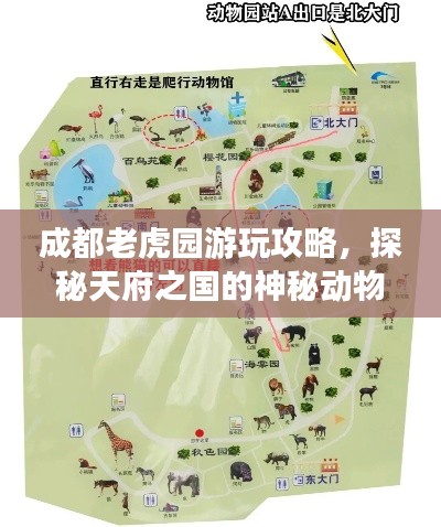 成都老虎园游玩攻略，探秘天府之国的神秘动物世界