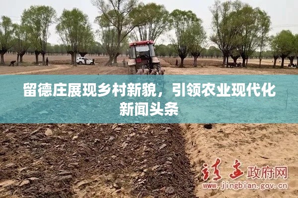 留德庄展现乡村新貌，引领农业现代化新闻头条