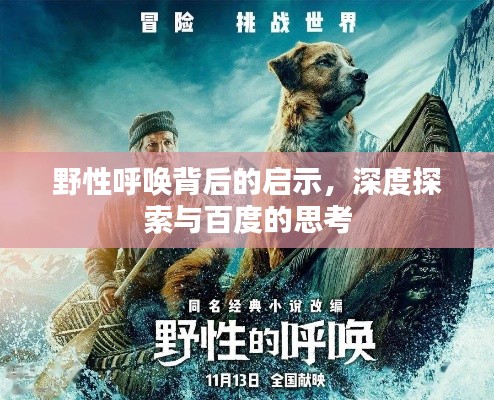 野性呼唤背后的启示，深度探索与百度的思考