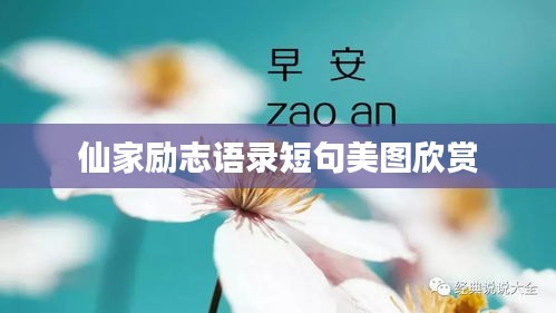 仙家励志语录短句美图欣赏