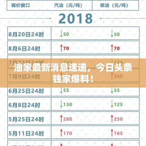 油家最新消息速递，今日头条独家爆料！