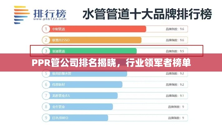 PPR管公司排名揭晓，行业领军者榜单