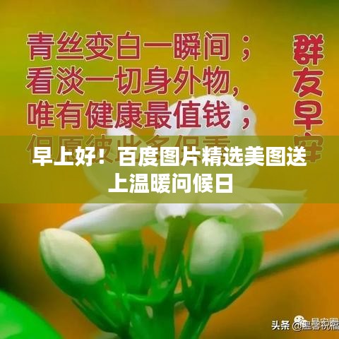 早上好！百度图片精选美图送上温暖问候日