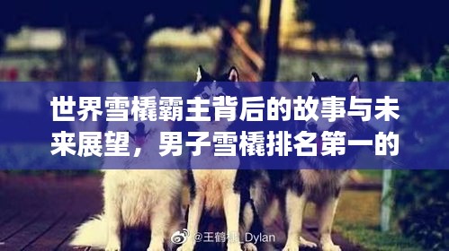 世界雪橇霸主背后的故事与未来展望，男子雪橇排名第一的奋斗之路
