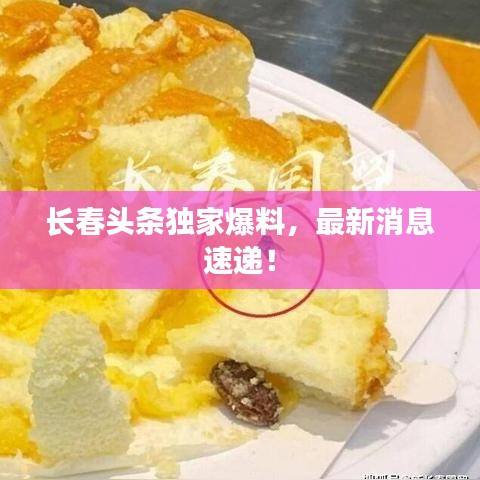 长春头条独家爆料，最新消息速递！