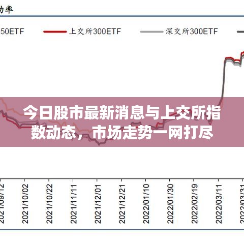 今日股市最新消息与上交所指数动态，市场走势一网打尽