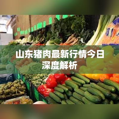 山东猪肉最新行情今日深度解析