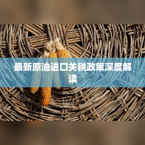 最新原油进口关税政策深度解读