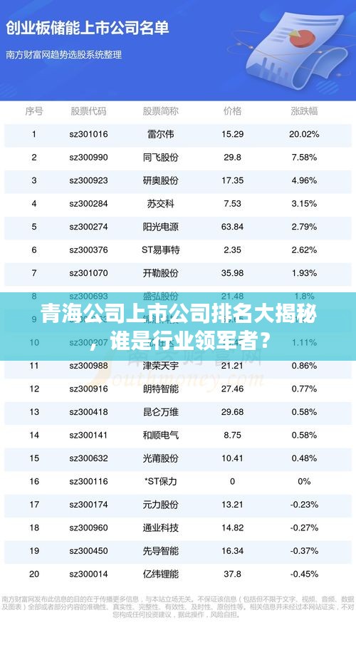 青海公司上市公司排名大揭秘，谁是行业领军者？