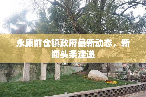 永康前仓镇政府最新动态，新闻头条速递