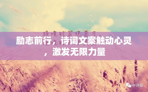励志前行，诗词文案触动心灵，激发无限力量