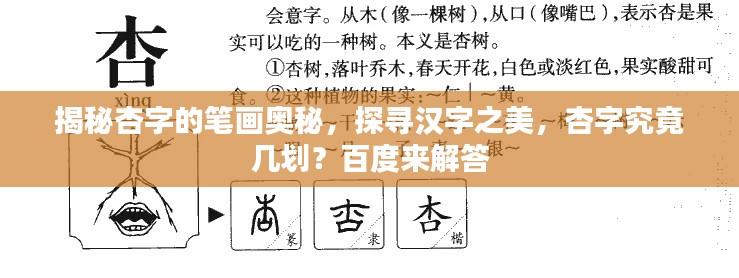 揭秘杏字的笔画奥秘，探寻汉字之美，杏字究竟几划？百度来解答