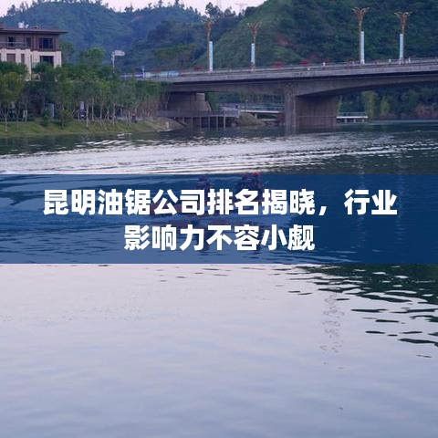 昆明油锯公司排名揭晓，行业影响力不容小觑