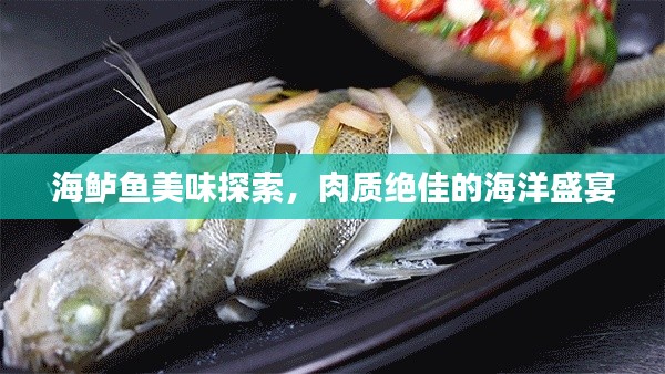 海鲈鱼美味探索，肉质绝佳的海洋盛宴