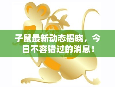 子鼠最新动态揭晓，今日不容错过的消息！