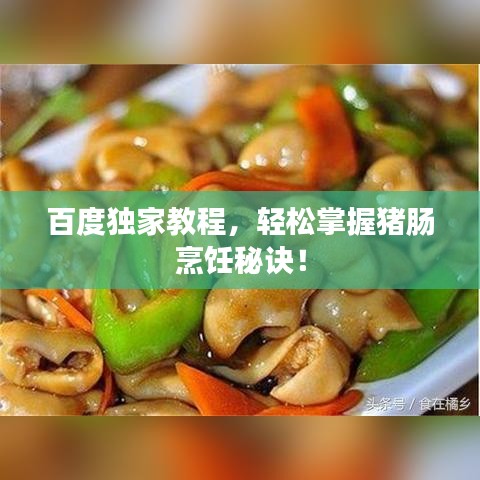 百度独家教程，轻松掌握猪肠烹饪秘诀！