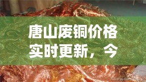 唐山废铜价格实时更新，今日市场最新动态