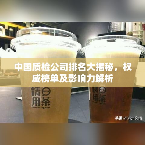 中国质检公司排名大揭秘，权威榜单及影响力解析