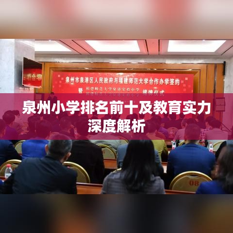 泉州小学排名前十及教育实力深度解析