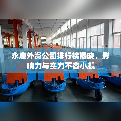 永康外资公司排行榜揭晓，影响力与实力不容小觑