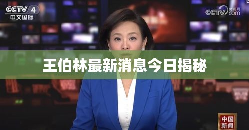 王伯林最新消息今日揭秘
