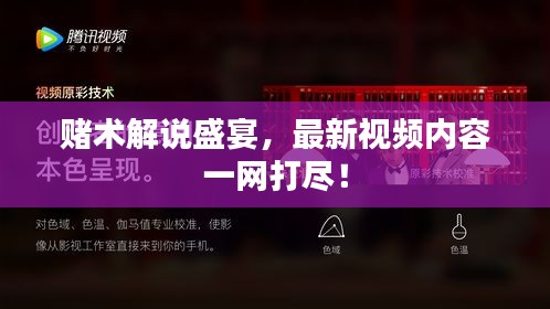 赌术解说盛宴，最新视频内容一网打尽！