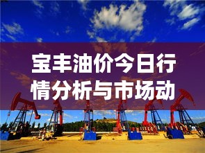宝丰油价今日行情分析与市场动态关注