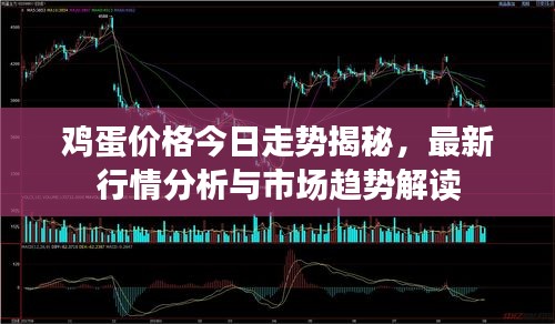 鸡蛋价格今日走势揭秘，最新行情分析与市场趋势解读