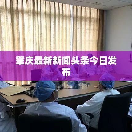 肇庆最新新闻头条今日发布