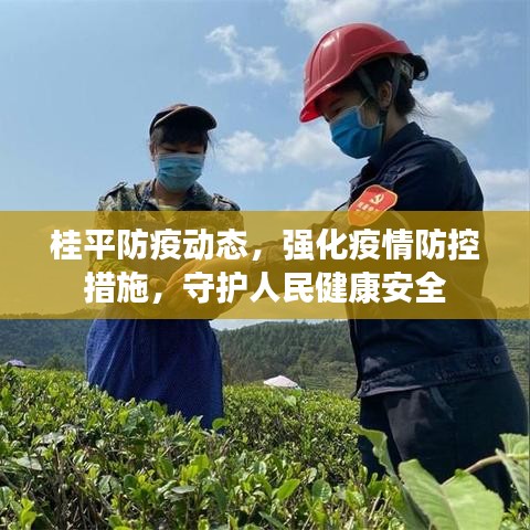 桂平防疫动态，强化疫情防控措施，守护人民健康安全