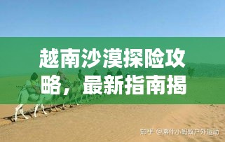 越南沙漠探险攻略，最新指南揭秘！