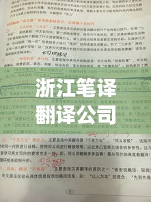 浙江笔译翻译公司排名揭秘，专业市场分析指南
