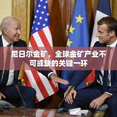 尼日尔金矿，全球金矿产业不可或缺的关键一环