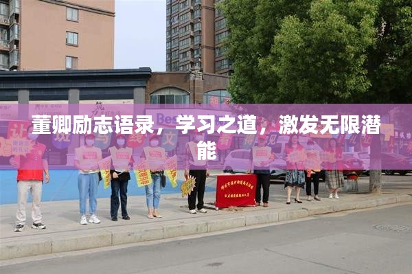 董卿励志语录，学习之道，激发无限潜能