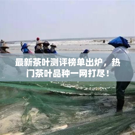 最新茶叶测评榜单出炉，热门茶叶品种一网打尽！