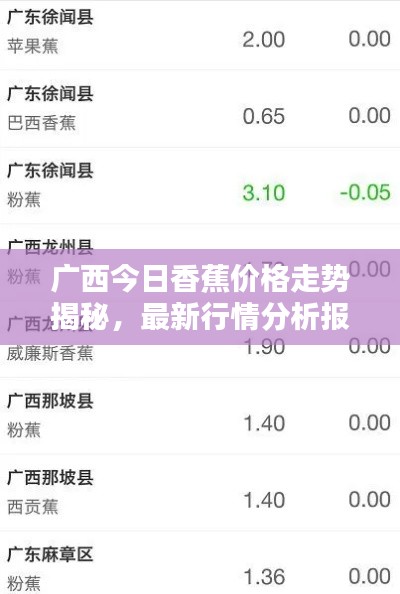 广西今日香蕉价格走势揭秘，最新行情分析报告