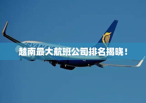 越南最大航班公司排名揭晓！