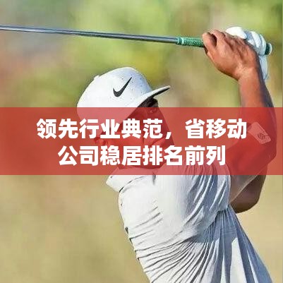 领先行业典范，省移动公司稳居排名前列