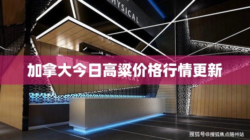 加拿大今日高粱价格行情更新