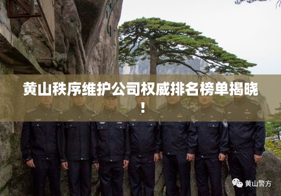 黄山秩序维护公司权威排名榜单揭晓！