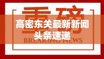 高密东关最新新闻头条速递