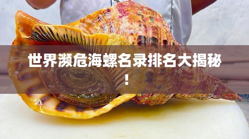世界濒危海螺名录排名大揭秘！